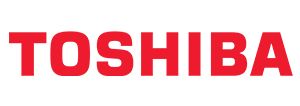 Toshiba Semiconductor and Storage